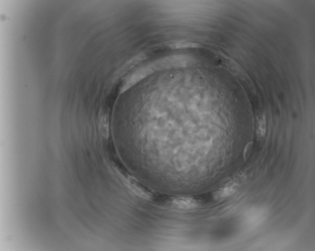 X0000063510666200601271812