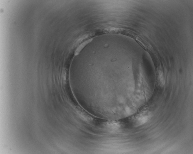 X0000063510668200601271812