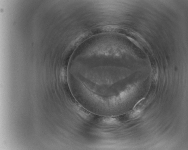 X0000063510669200601271812