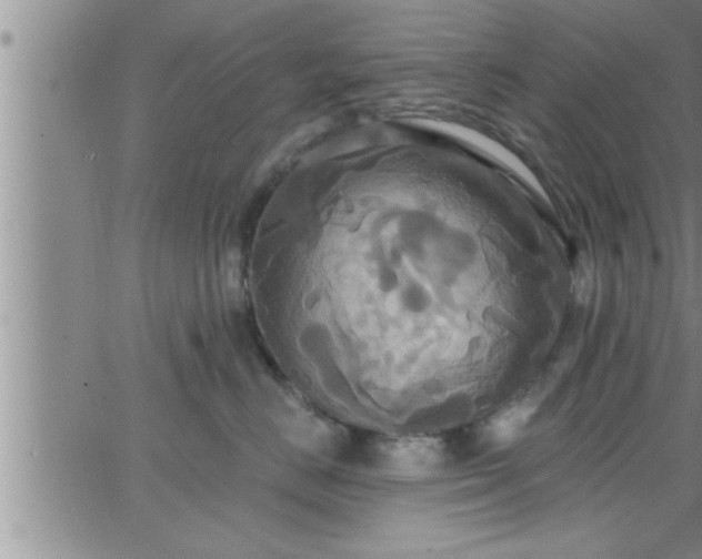 X0000063510670200601271812