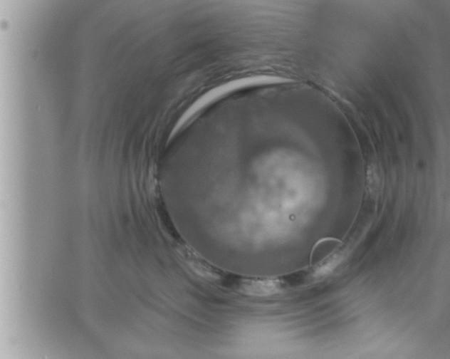 X0000063510671200601271812