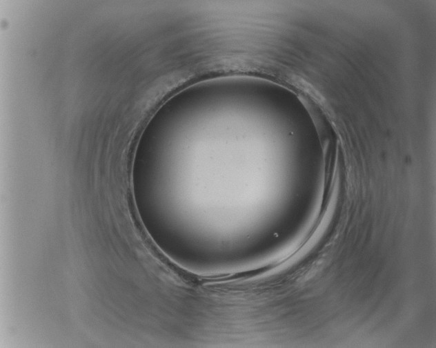 X0000063510673200601271811