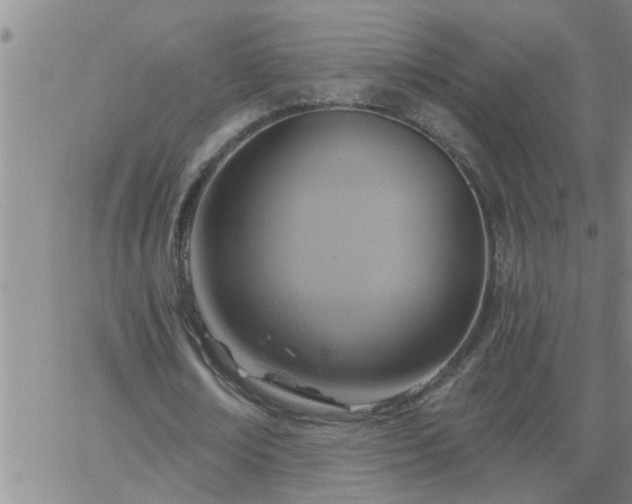 X0000063510674200601271811