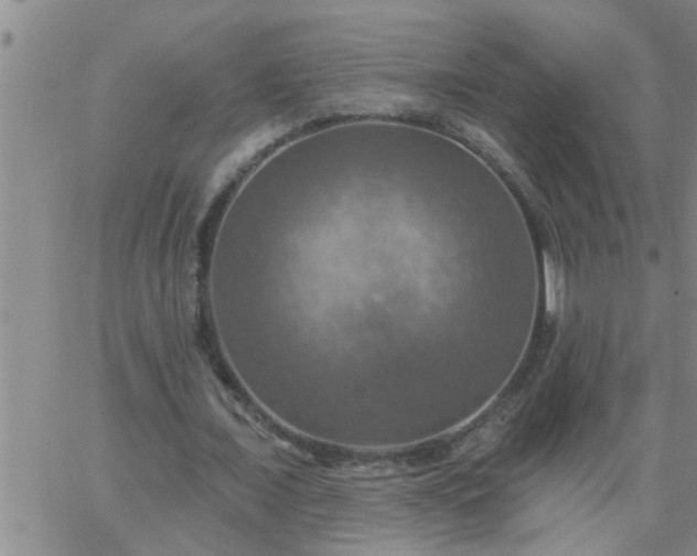 X0000063510675200601271811