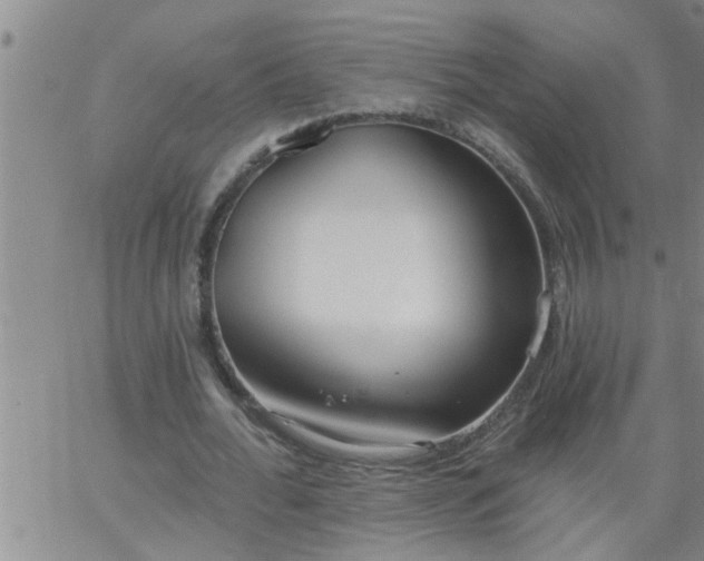 X0000063510676200601271811