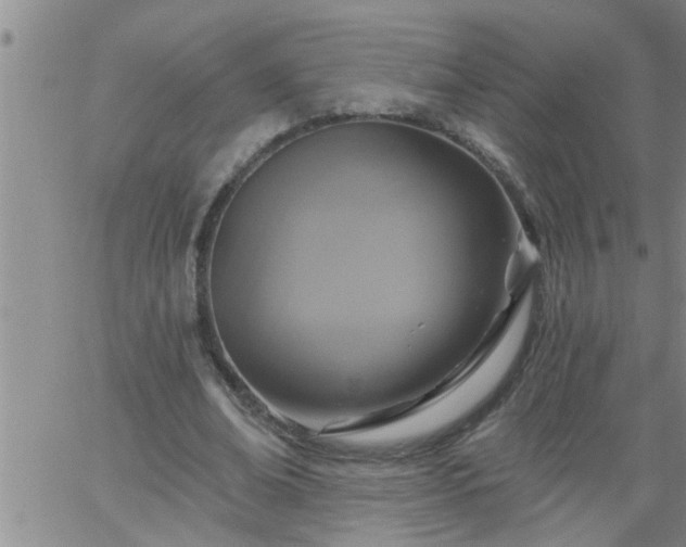 X0000063510678200601271811