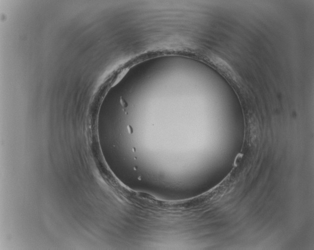 X0000063510680200601271811