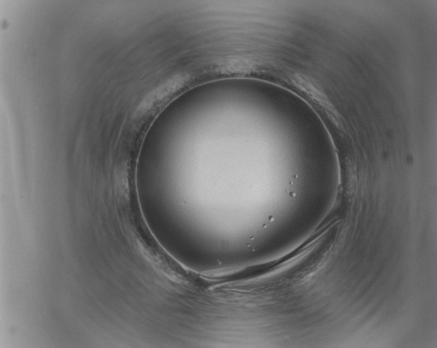 X0000063510681200601271811