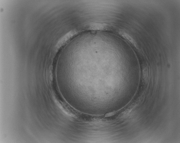 X0000063510682200601271811