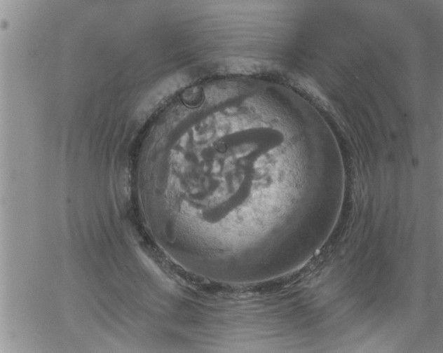 X0000063510683200601271811