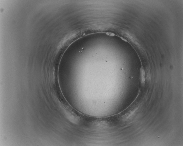 X0000063510685200601271811