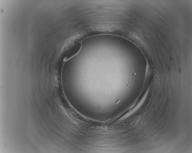 X0000063510688200601271811