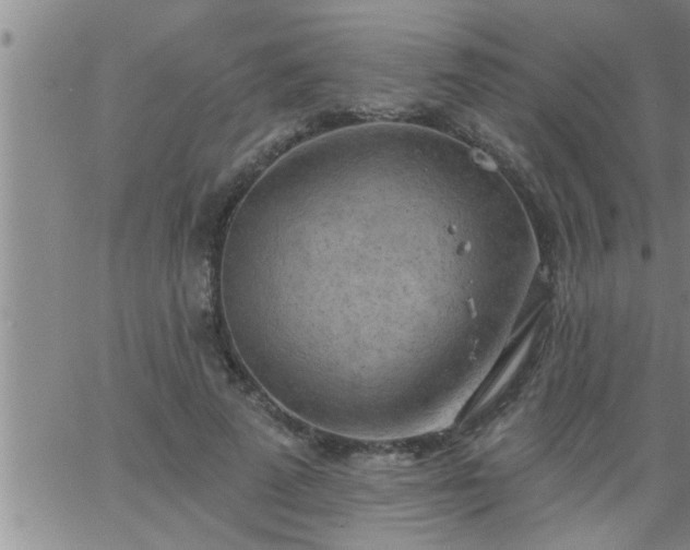 X0000063510689200601271811