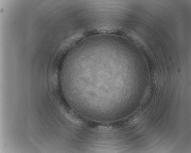 X0000063510690200601271811