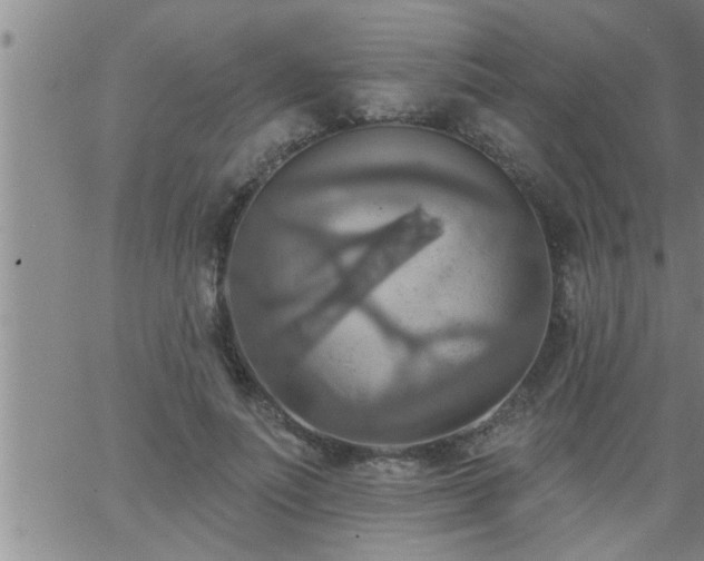 X0000063510691200601271811