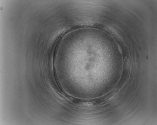 X0000063510692200601271811