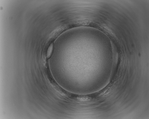 X0000063510693200601271811