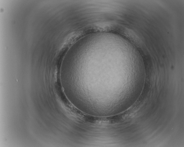 X0000063510694200601271811