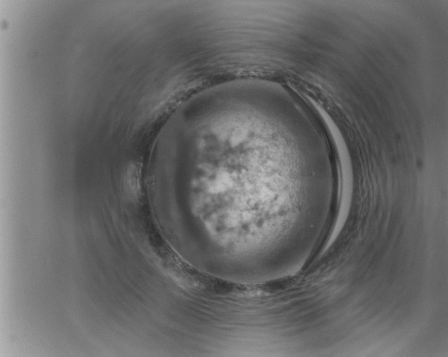 X0000063510695200601271811