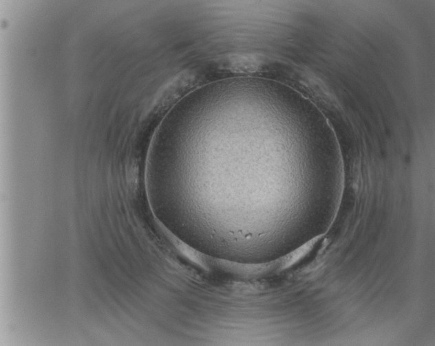 X0000063510697200601271811