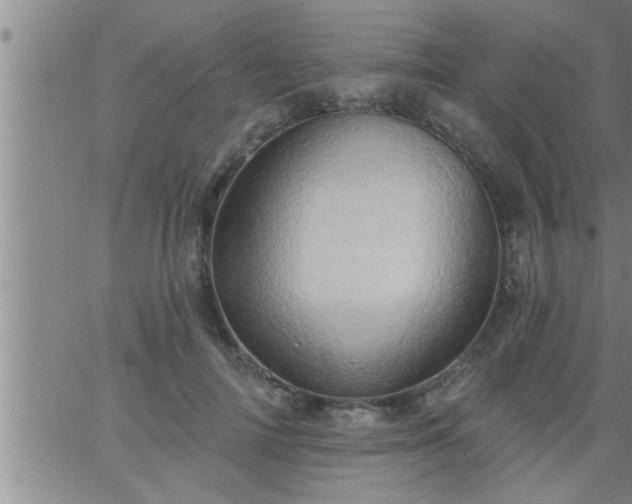 X0000063510698200601271811