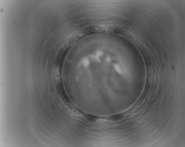 X0000063510699200601271811