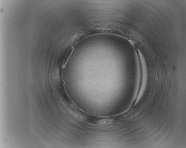 X0000063510700200601271811