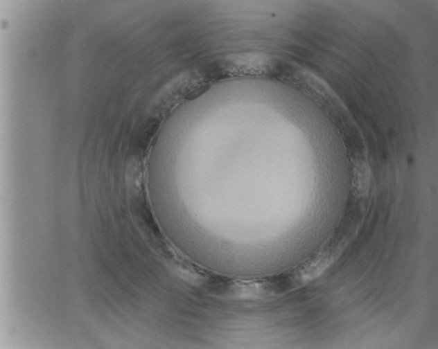 X0000063510701200601271811