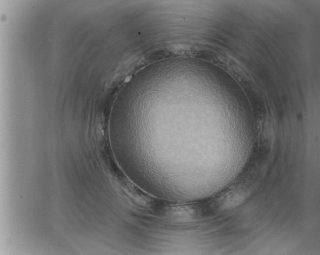 X0000063510702200601271811