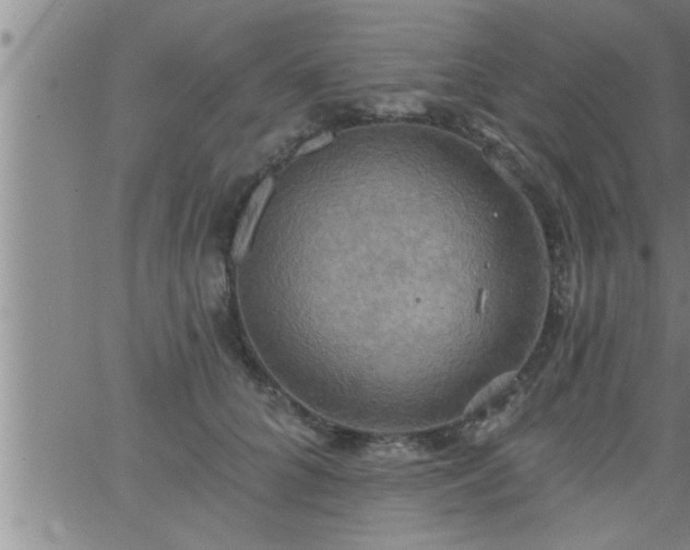 X0000063510704200601271811