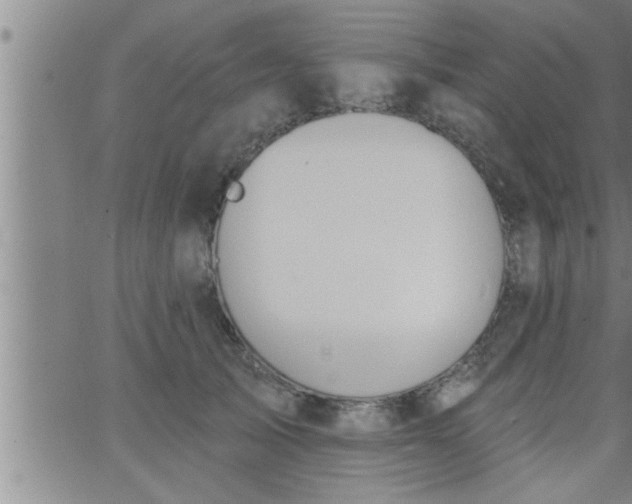 X0000063510705200601271811