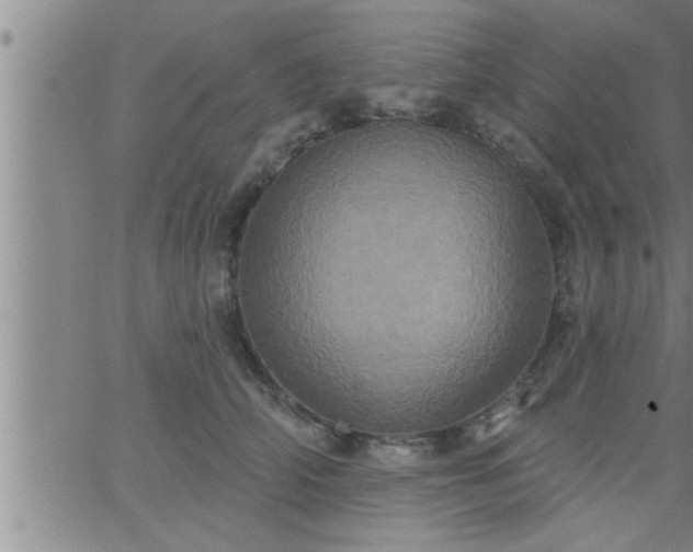 X0000063510706200601271811