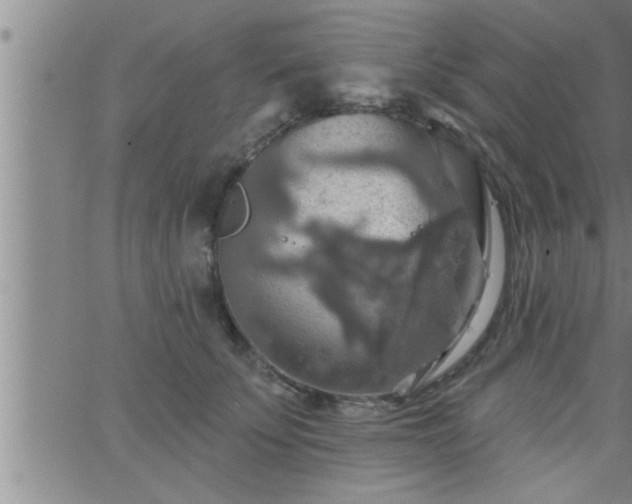 X0000063510707200601271811