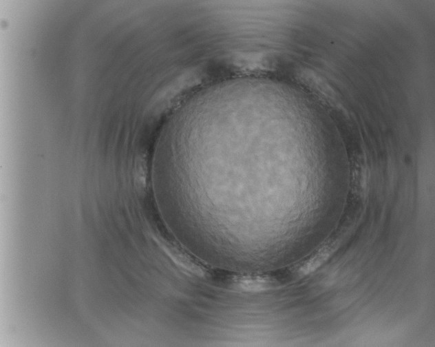 X0000063510710200601271811