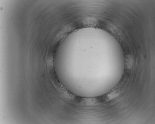 X0000063510713200601271811