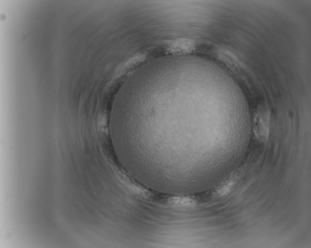 X0000063510714200601271811