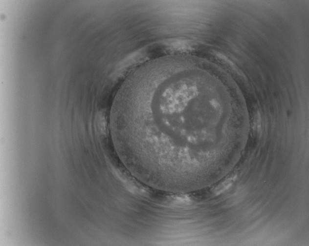 X0000063510715200601271811