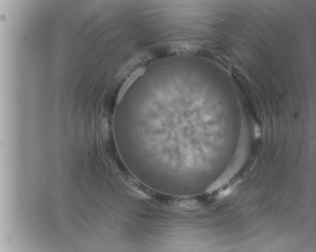 X0000063510716200601271810