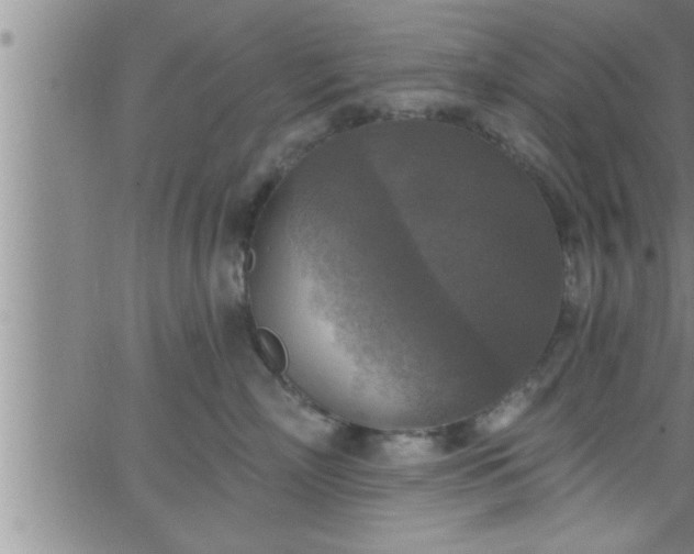 X0000063510718200601271810