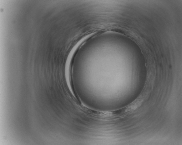 X0000063510720200601271810