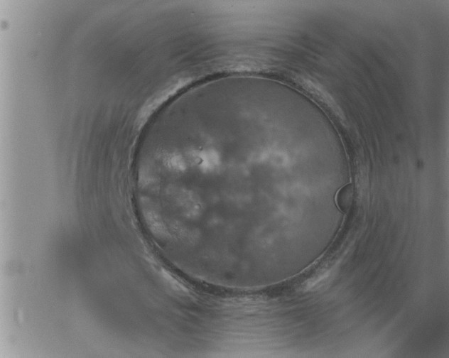 X0000063510721200601271810