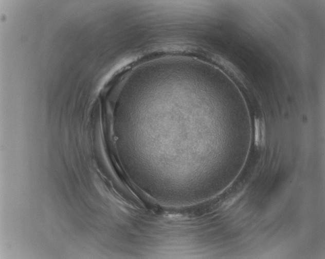 X0000063510723200601271810