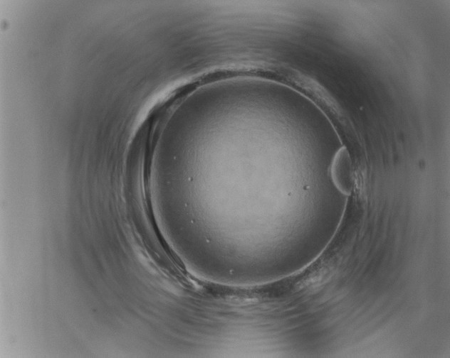 X0000063510724200601271810