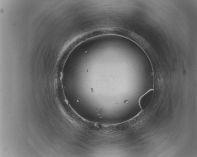 X0000063510728200601271810