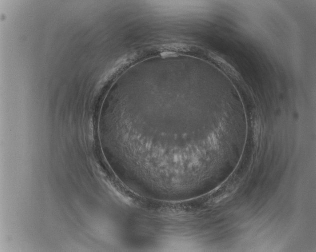 X0000063510729200601271810