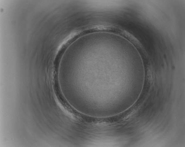 X0000063510730200601271810