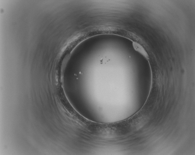 X0000063510731200601271810