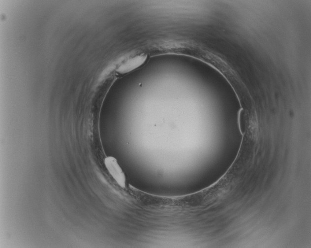 X0000063510732200601271810