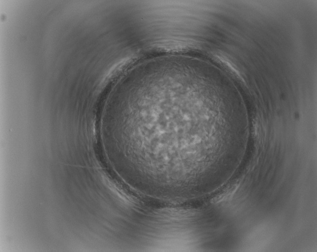 X0000063510733200601271810