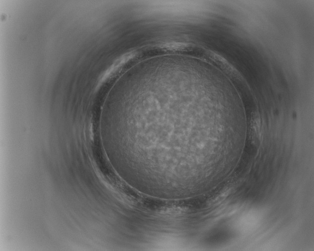 X0000063510734200601271810